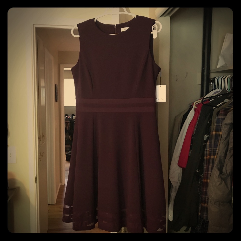 Calvin Klein plum sleeveless dress